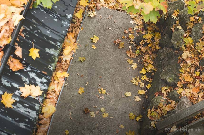 Roof Leaves Build Up