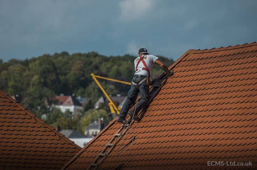 Roofer Inspecting Tiles