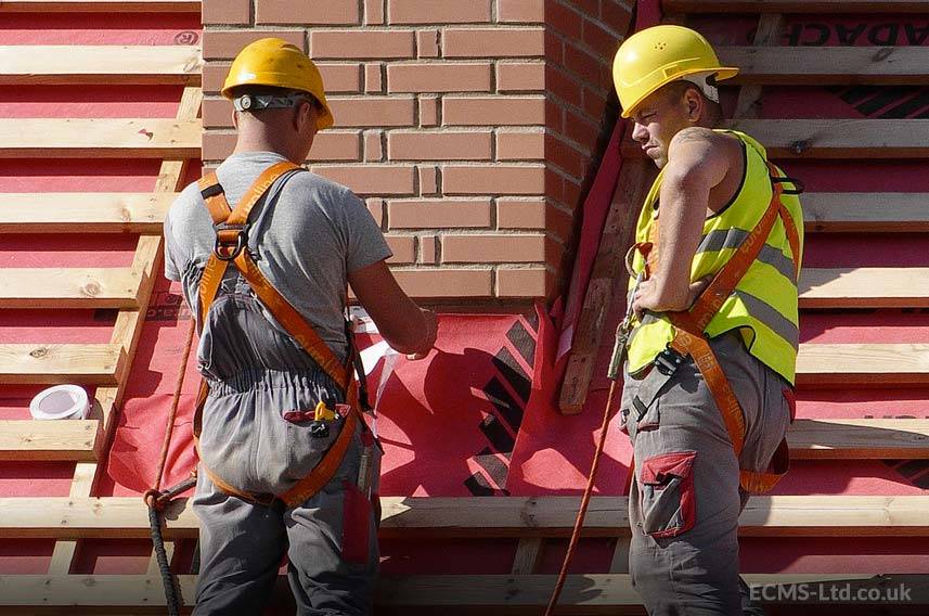 Two Professional Roofers