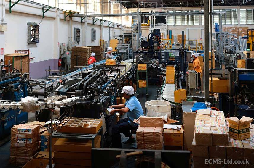 Factory Workers on Production Line