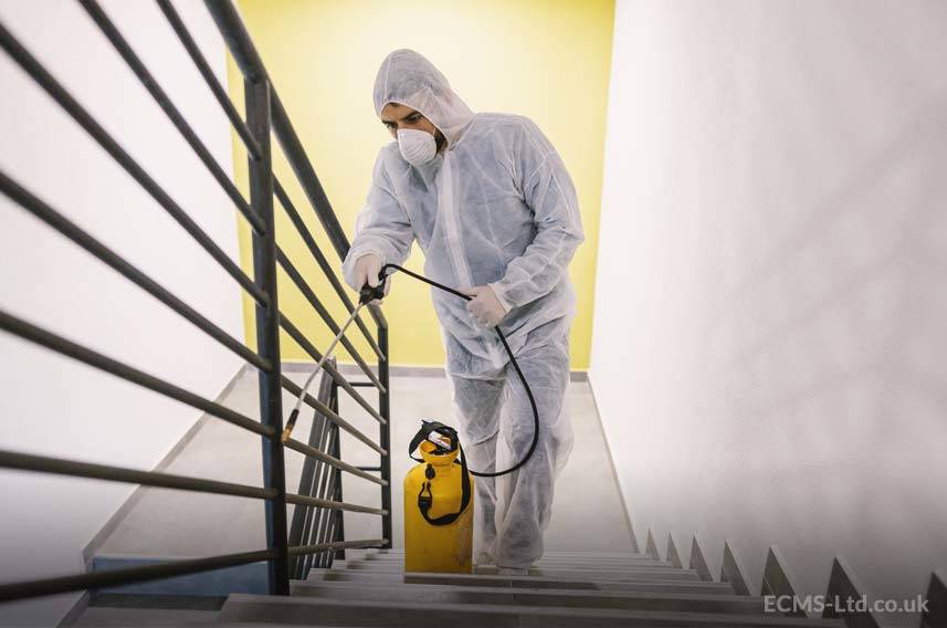 Disinfecting Stairs