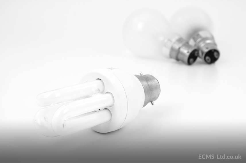 Energy Efficient Light Bulbs