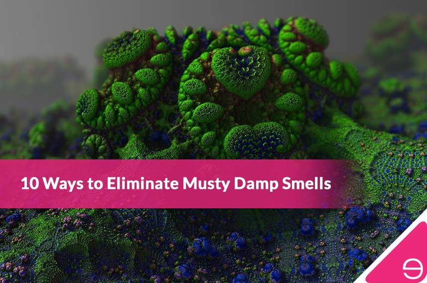 10 Ways to Eliminate Musty Damp Smells