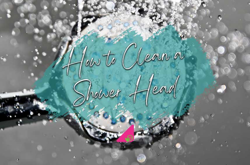 How to Descale and Clean a Shower Head