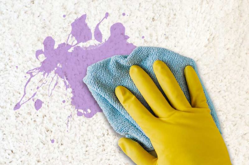 How to Get Paint Out of Carpet
