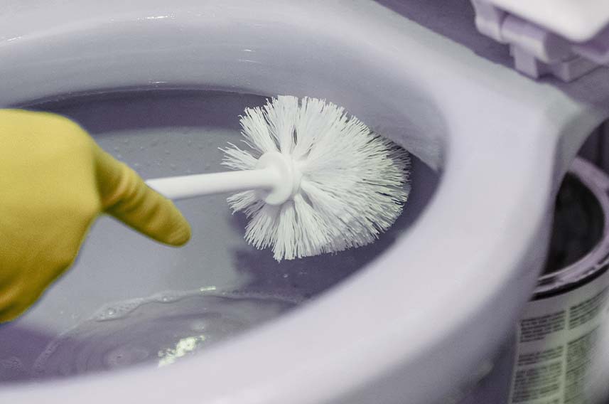 how to clean toilet brush without chemicals