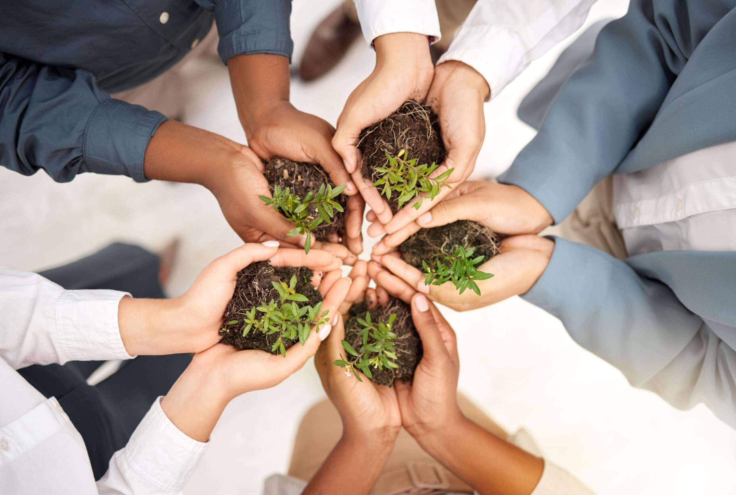 Commercial landscaping and grounds maintenance is now a core ECMS service