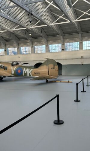 WhatsApp Image 2026-03-13 at 11.27.39 (1)